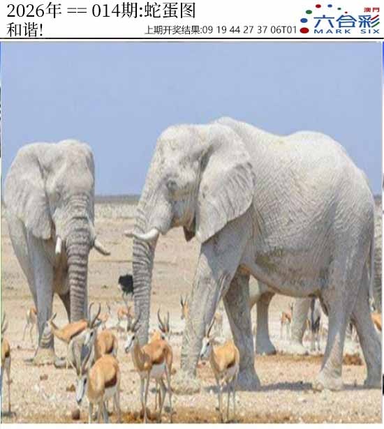 014期正版蛇蛋图[图]