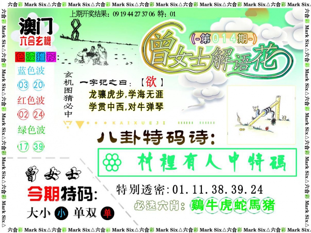 014期曾女士解语花[图]