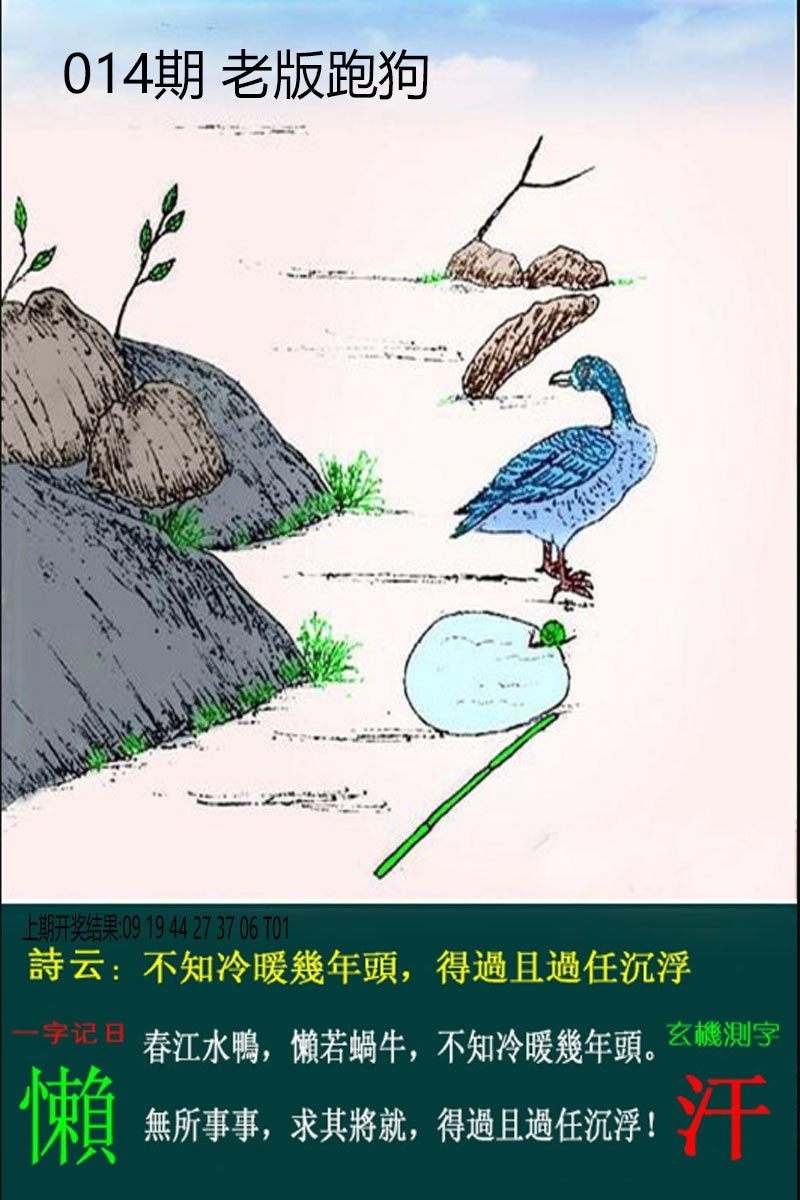 014期老板跑狗[图]