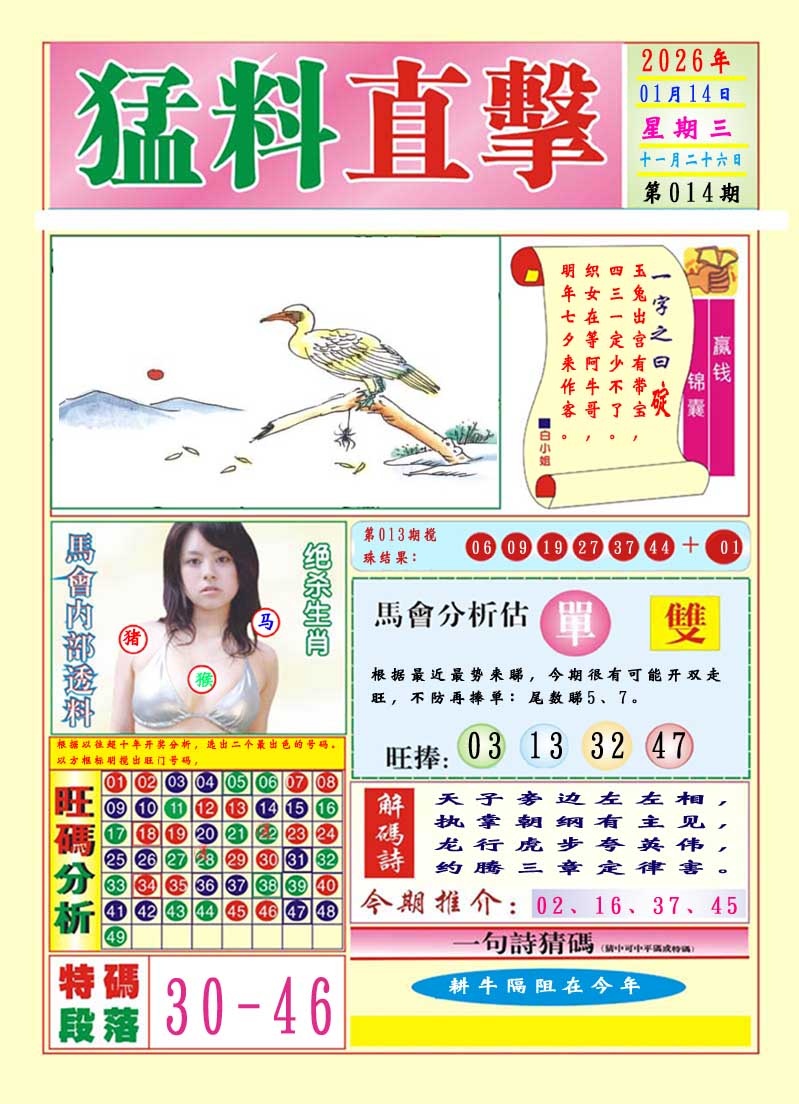 014期猛料直击A[图]