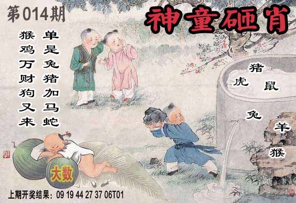 014期神童砸肖[图]