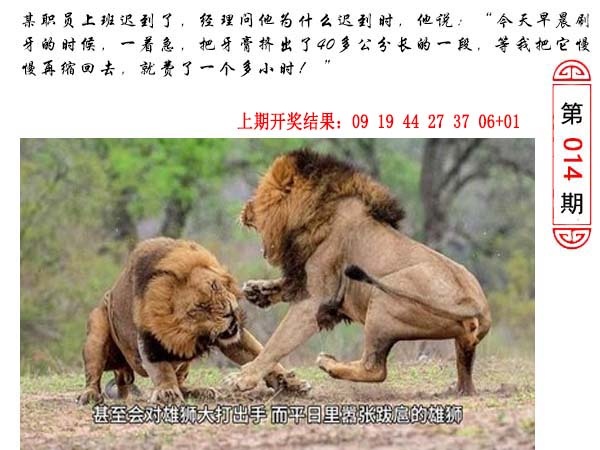 014期澳门生活幽默[图]