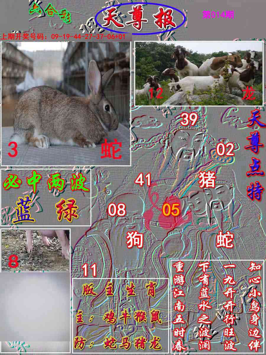 014期天尊报[图]