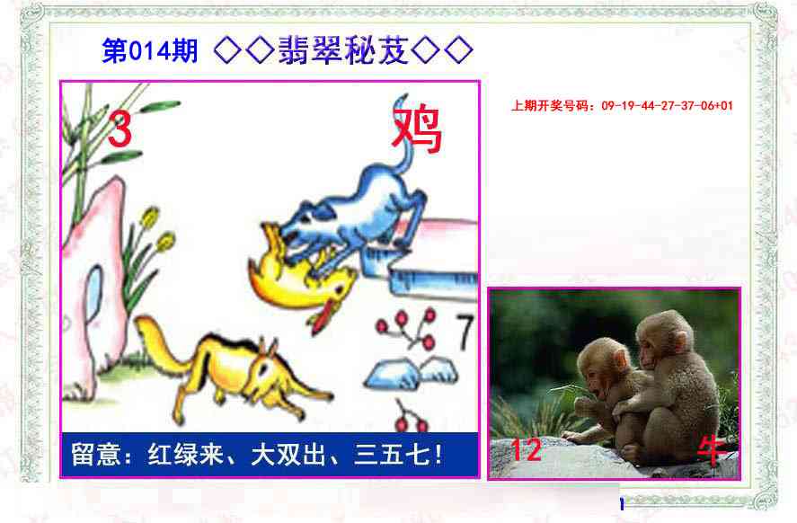 014期翡翠报[图]