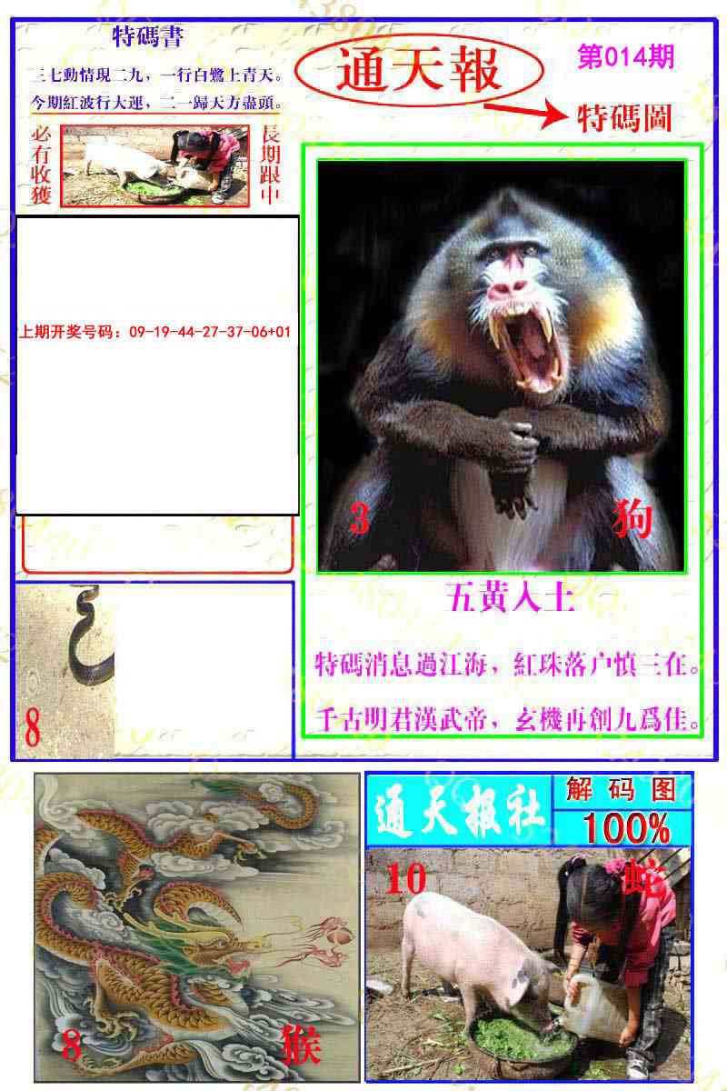 014期通天特解图[图]