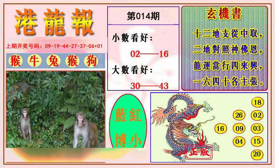 014期港龙报[图]