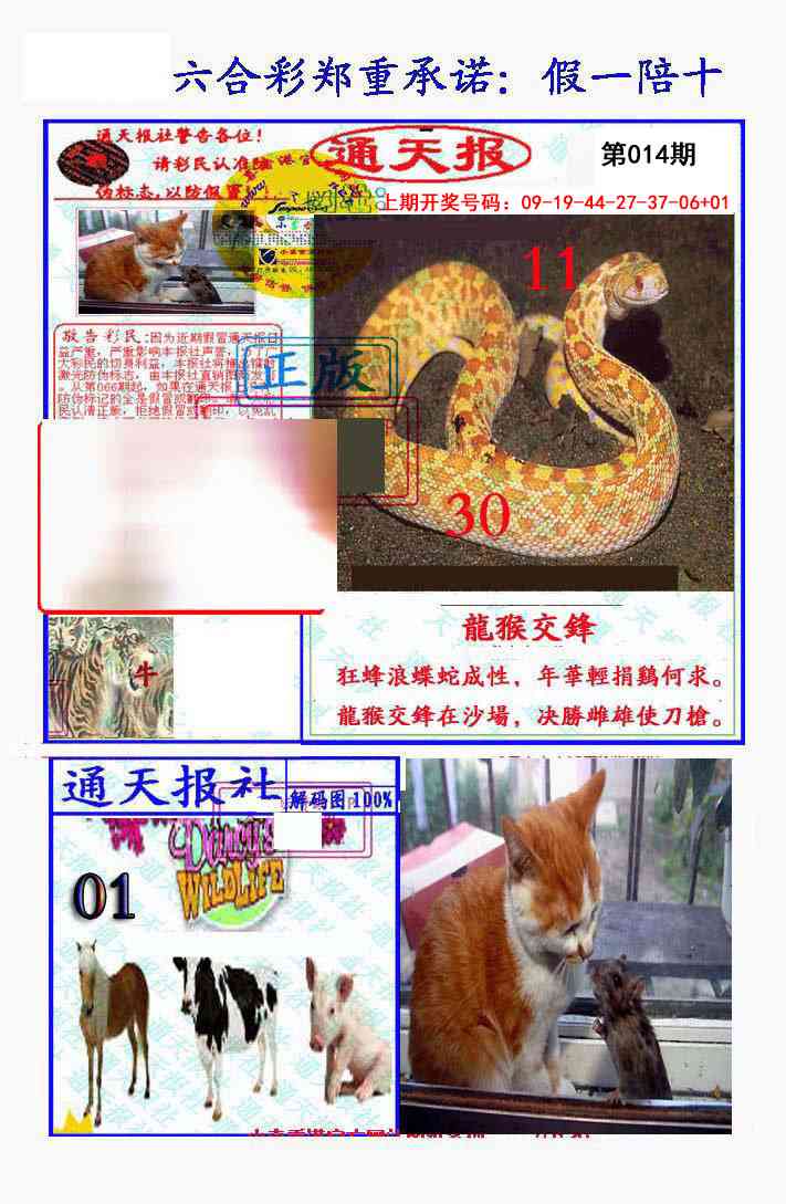 014期假一陪十通天报[图]