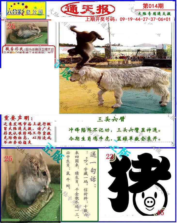 014期大陆通天报[图]