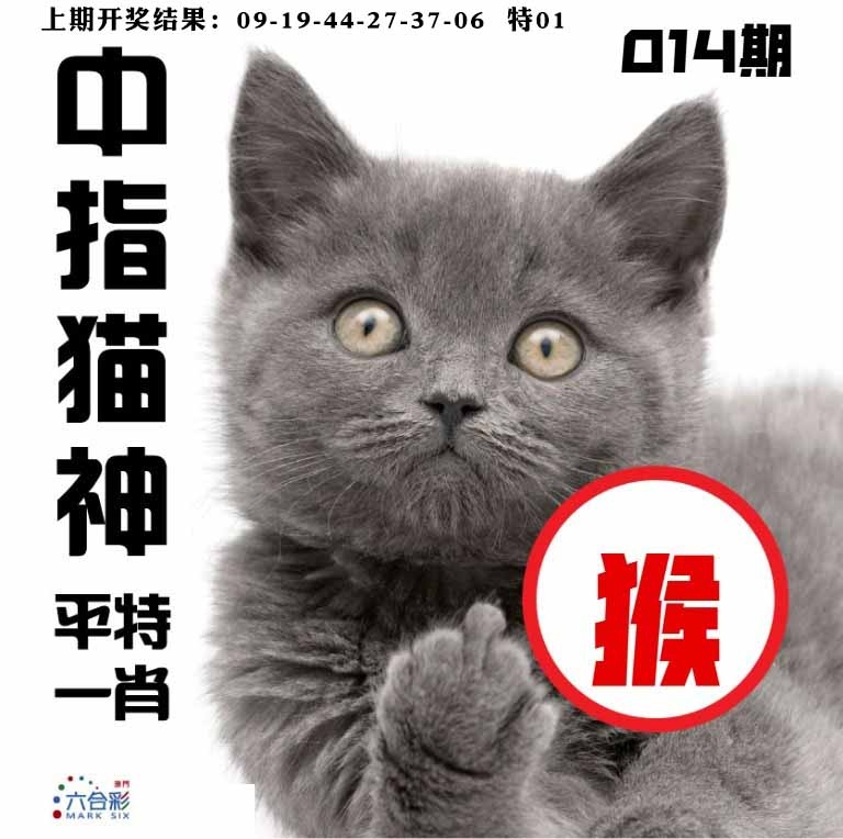 014期中指猫神[图]
